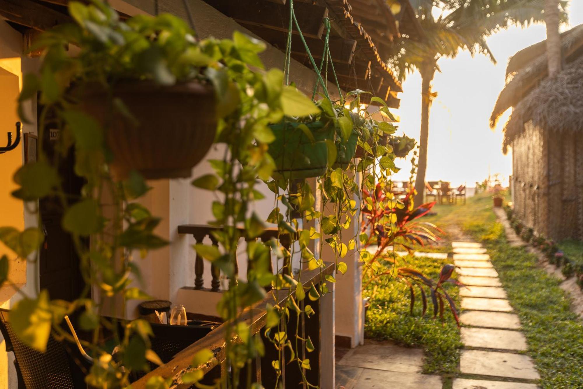 Forget Me Not Resort Agonda Esterno foto